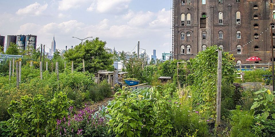 Transformative communities as innovative ways of life